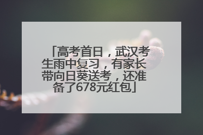 高考首日，武汉考生雨中复习，有家长带向日葵送考，还准备了678元红包